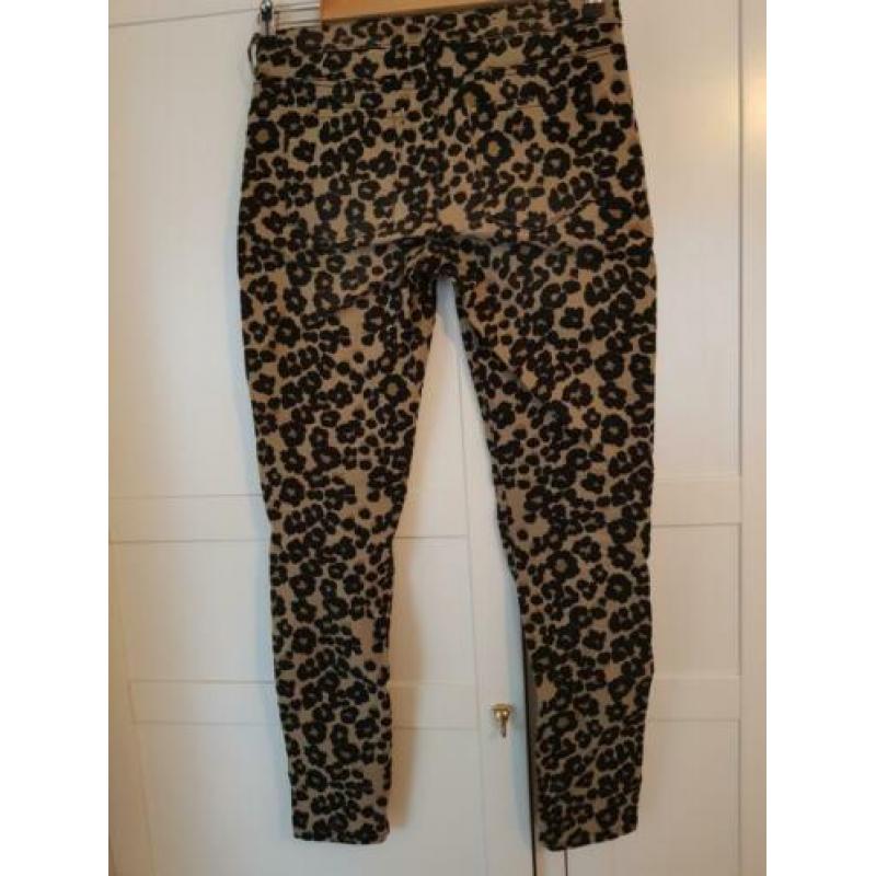 Maison Scotch (Scotch & Soda) luipaard/leopard broek 29/32