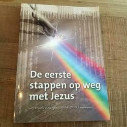 De eerste stappen op weg naar Jezus - Werkboek voor geesteli