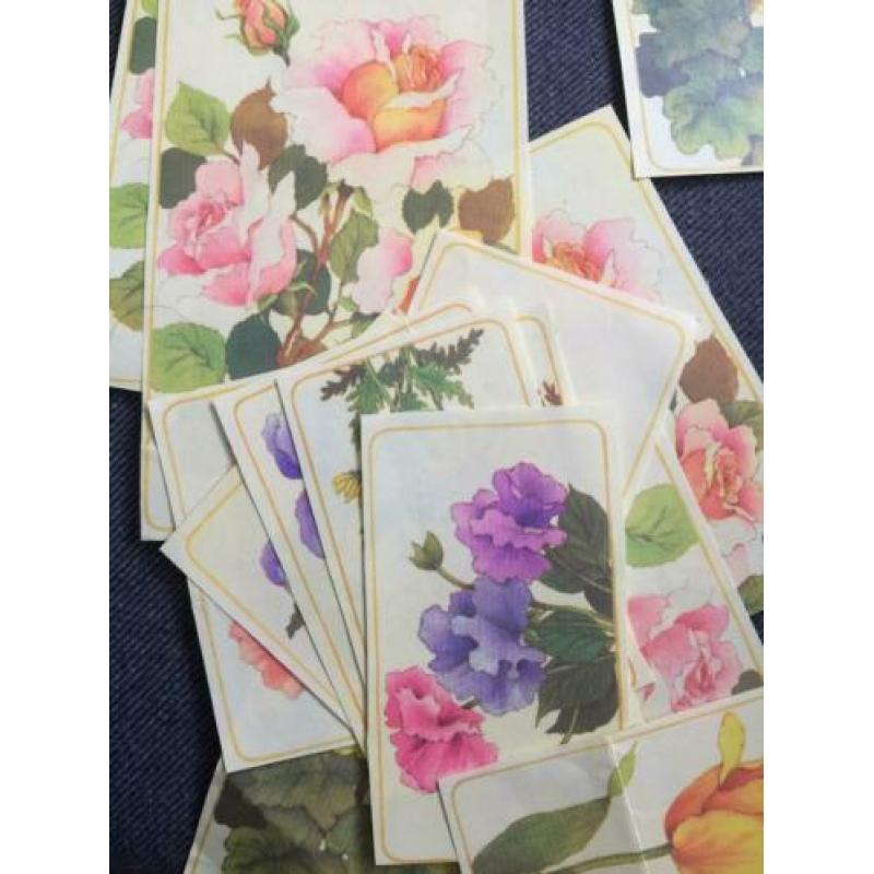 Oude hobby bloemen plaatjes