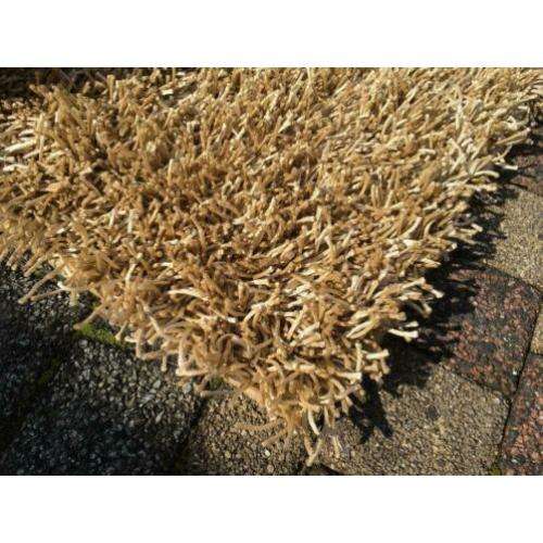 Karpet extra lang , hoogpolig. Merk Living Carpets