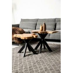 BOOMSTAMTAFEL teak boomstam schijf SALONTAFEL.