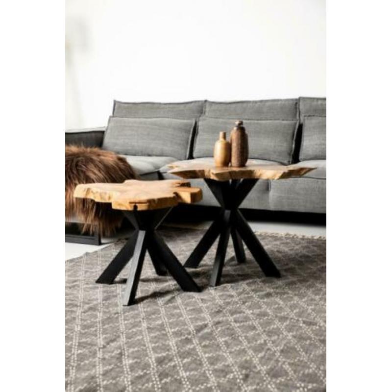 BOOMSTAMTAFEL teak boomstam schijf SALONTAFEL.