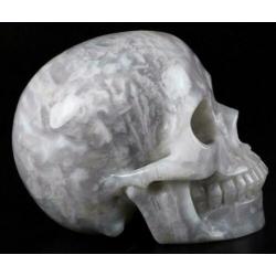 Agaat Schedel Kristal Quartz Kwarts Beeld 2.5 KG Doodshoofd