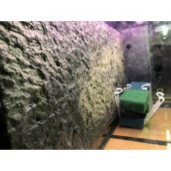 All-in Juwel aquarium 150 liter kant en klaar