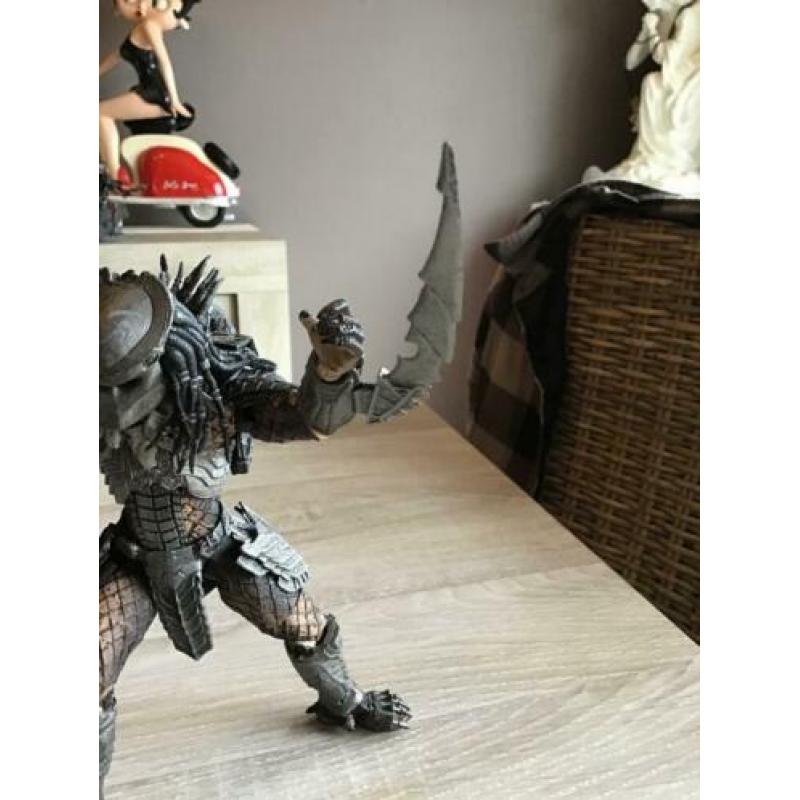 Predator 21