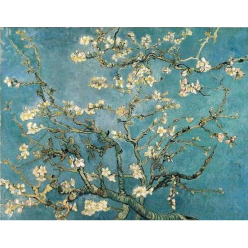Uitert, Evert van - Vincent van Gogh Schilderijen (1990)