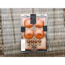 Harley Davidson accessoires voor Touringmodellen, koplampviz