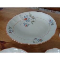 Divers servies - Holland Springend Hert