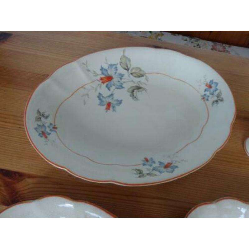 Divers servies - Holland Springend Hert