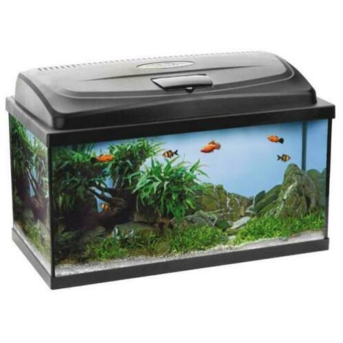 prachtig beginners aquarium met degelijke led verlichting