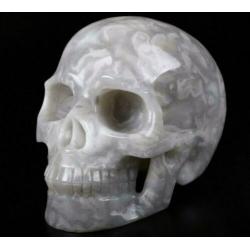 Agaat Schedel Kristal Quartz Kwarts Beeld 2.5 KG Doodshoofd