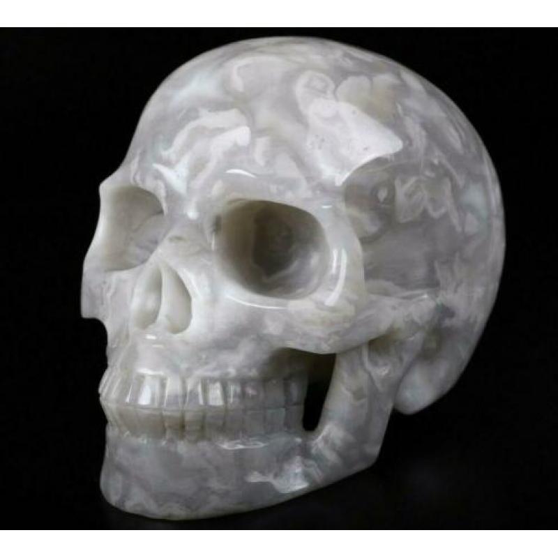 Agaat Schedel Kristal Quartz Kwarts Beeld 2.5 KG Doodshoofd