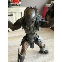 Predator 21