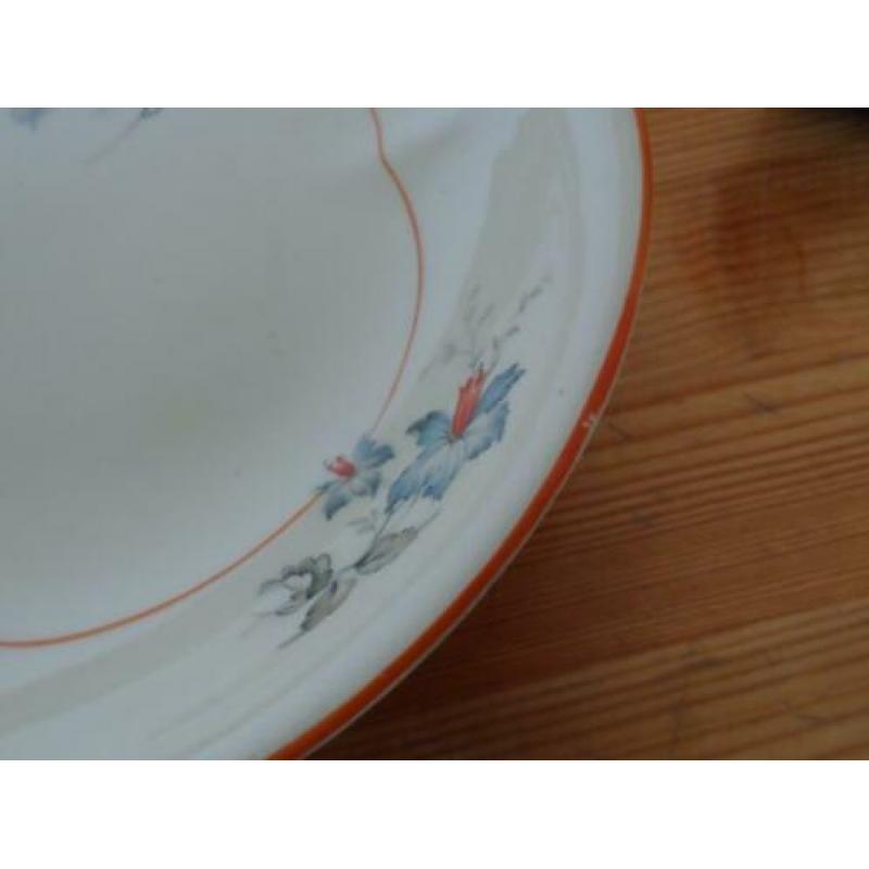 Divers servies - Holland Springend Hert