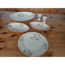 Divers servies - Holland Springend Hert