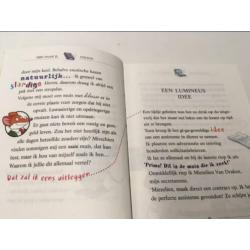 Mijn naam is Stilton, Geronimo Stilton
