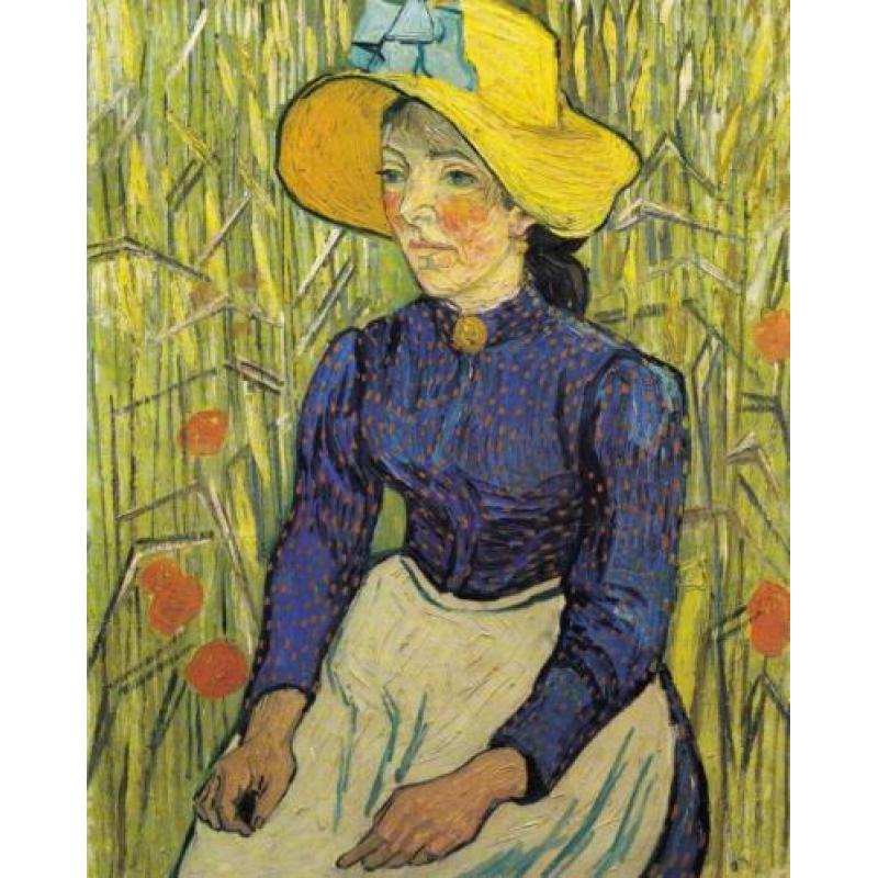 Uitert, Evert van - Vincent van Gogh Schilderijen (1990)