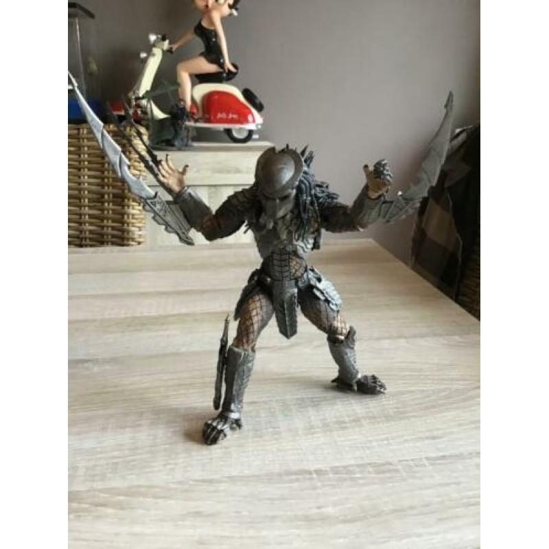 Predator 21