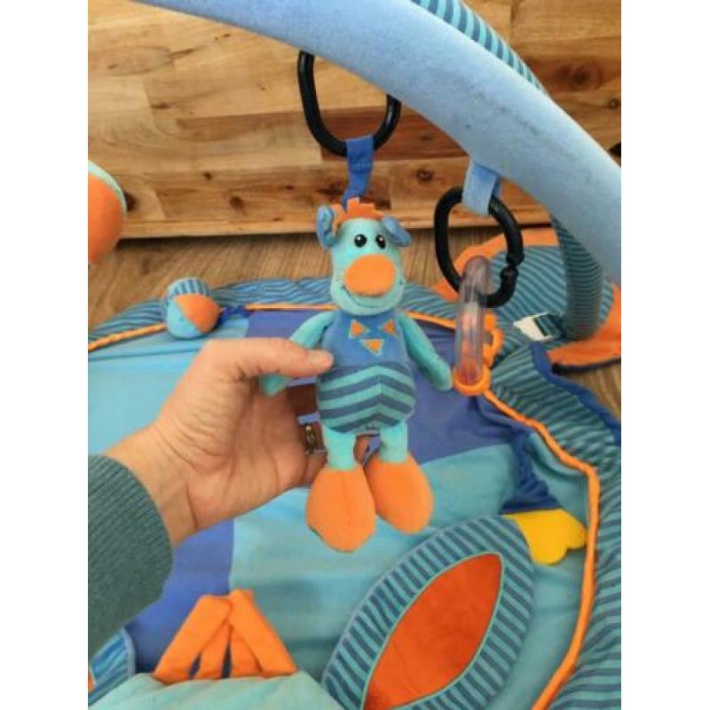 Leuke zachte vrolijke babygym