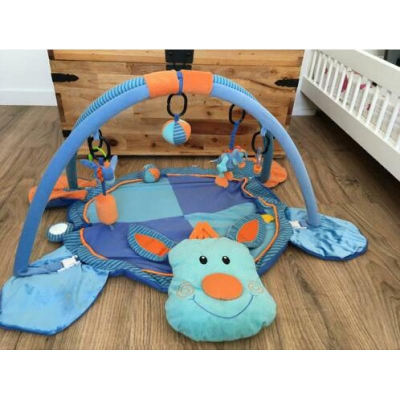 Leuke zachte vrolijke babygym
