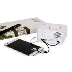Wekker met USB Oplader en Thermometer (K2_Zwart)
