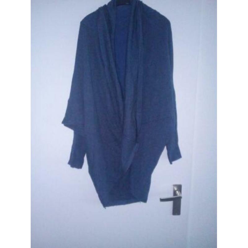 Mooi vest v h &m maat s