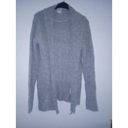Mooi vest v h &m maat s