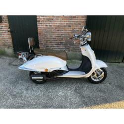 Killerbee Custom Retroscooter