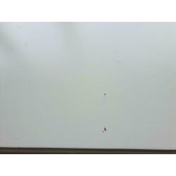 Grote zware witte tafel ophalen dit weekend 20,-