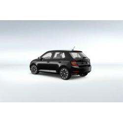 Skoda Fabia 1.0 TSI Business Edition Wat kunnen ze dat toch
