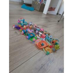 Little pet shop