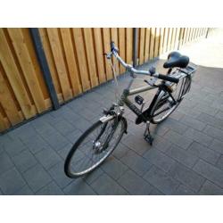 Giant Adelaide framemaat M