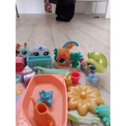 Little pet shop