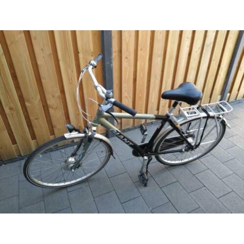 Giant Adelaide framemaat M