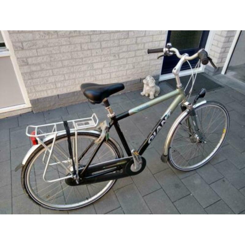 Giant Adelaide framemaat M