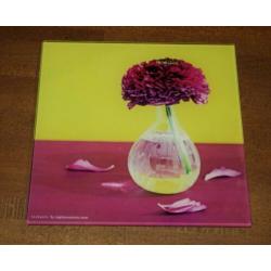 6x glas "tegeltje" van Ariane Deco Glass Gallery , NIEUW !