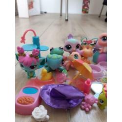 Little pet shop