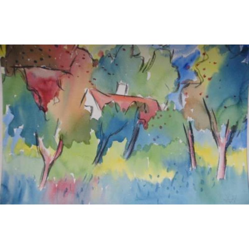 André van der Vossen - aquarel