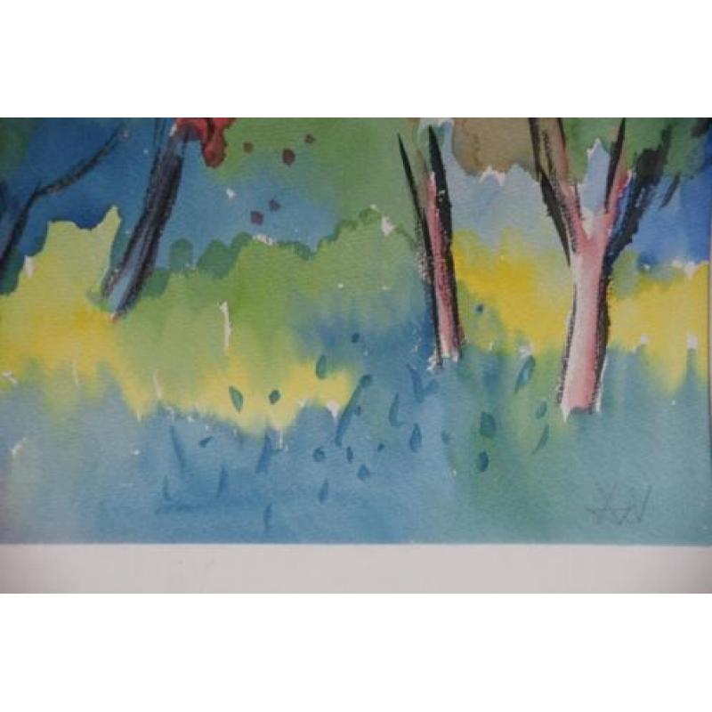 André van der Vossen - aquarel