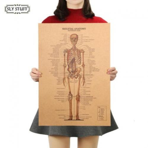 Menselijk Skelet Lichaam Geneeskunde Anatomie vintage poster