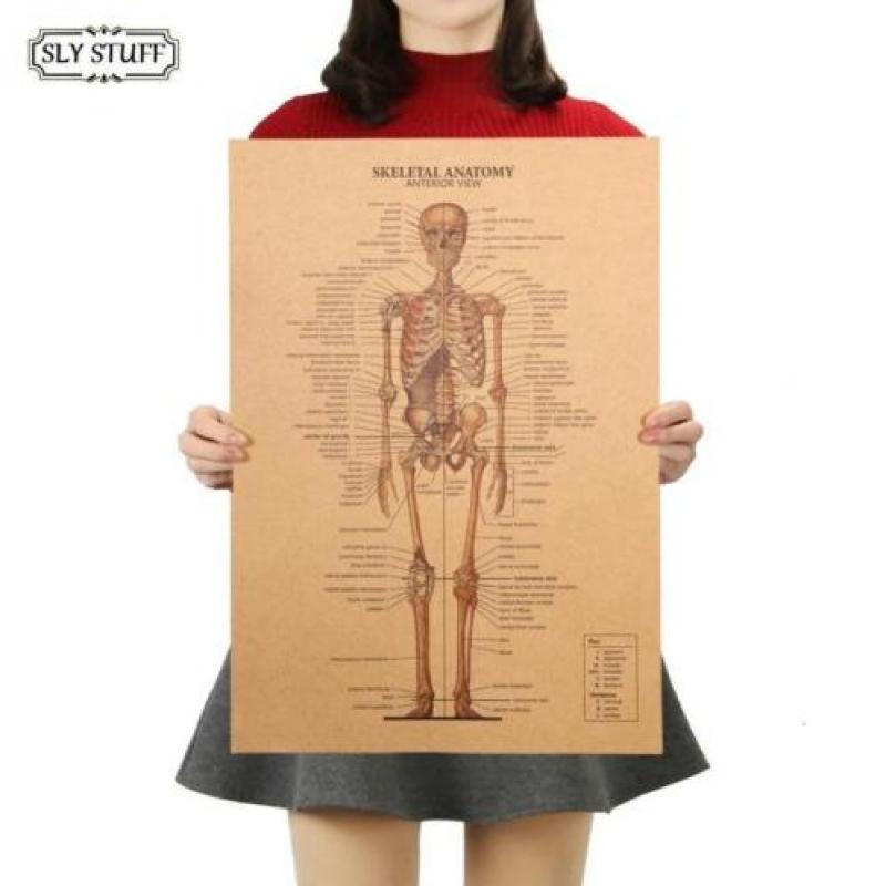 Menselijk Skelet Lichaam Geneeskunde Anatomie vintage poster