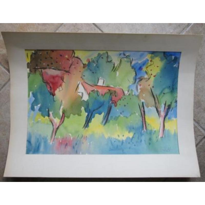 André van der Vossen - aquarel