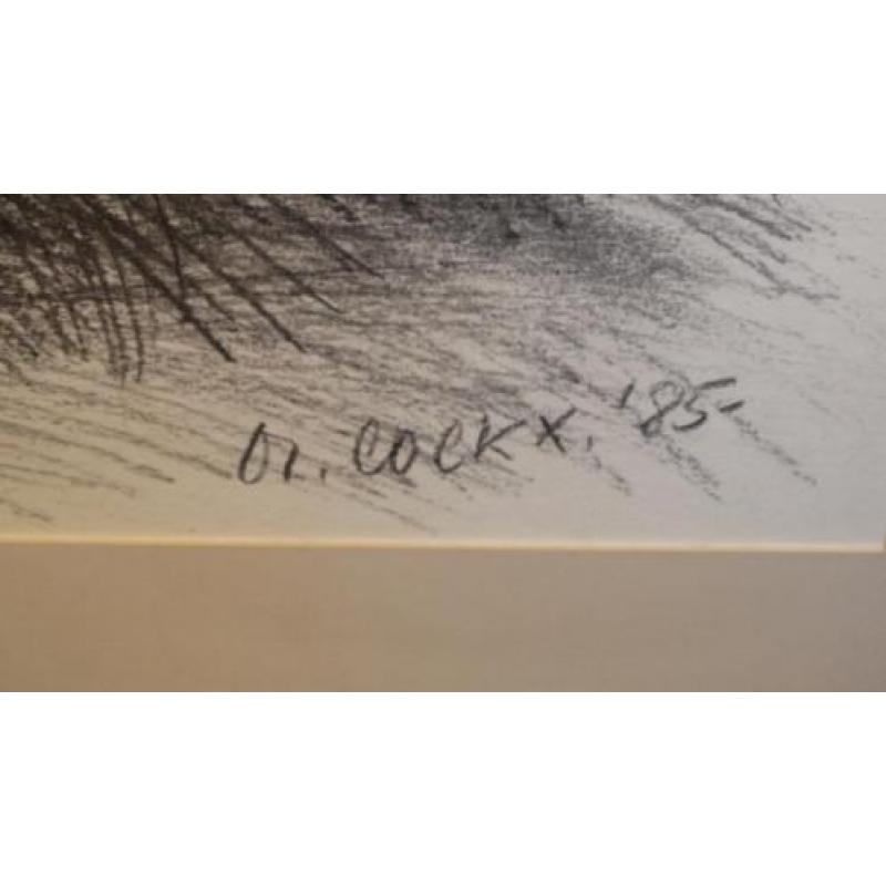 "tuinman" Marcel Cockx, houtskooltekening