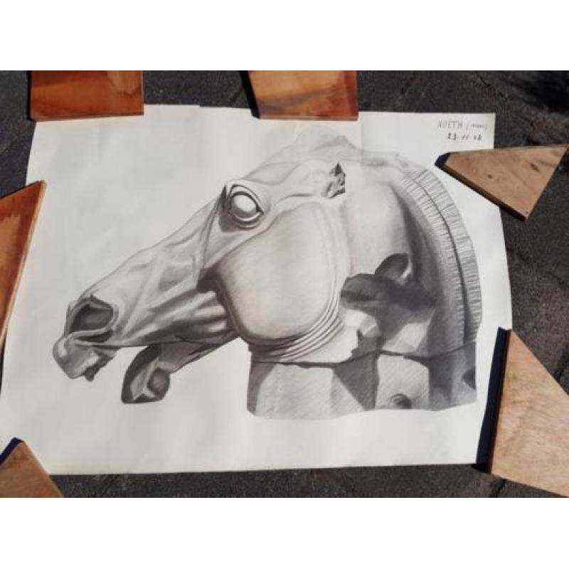 Potlood tekening paardenhoofd - gesigneerd Noëth 23-11-48