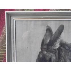 Prachtige oude ingelijste pastel tekening van een ezel.