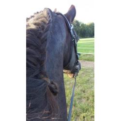 Super lieve mooie friese ruin te koop.