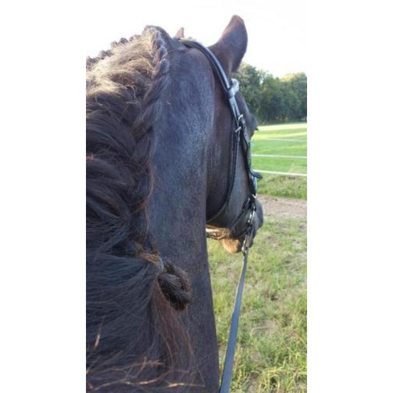 Super lieve mooie friese ruin te koop.