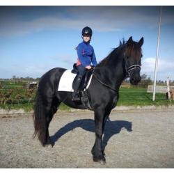 Super lieve mooie friese ruin te koop.