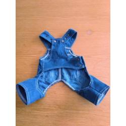 Kleding voor hondje