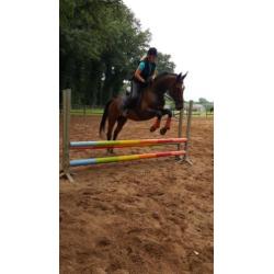 Recreatie Merrie
